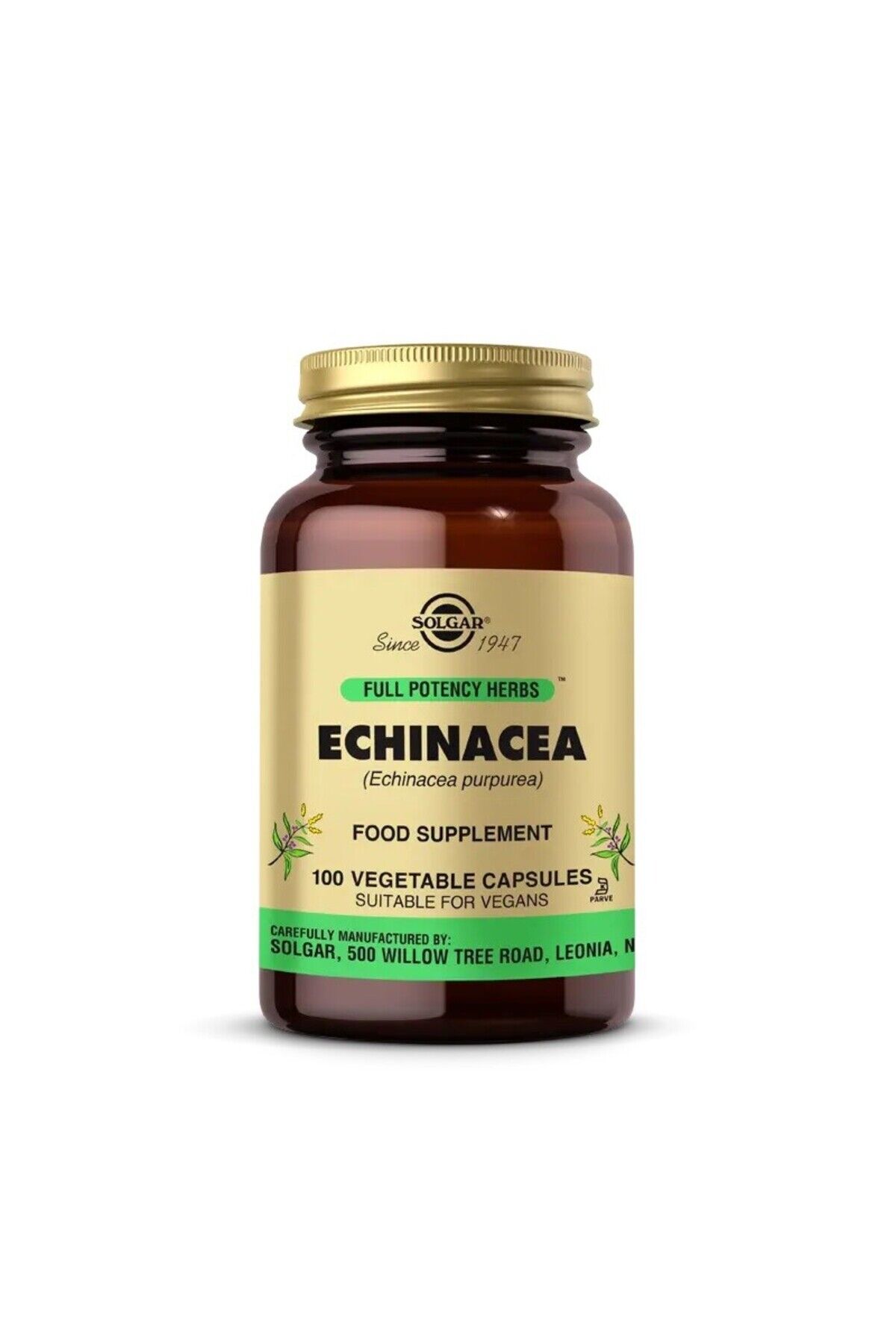 Echinacea 100 Kapsül