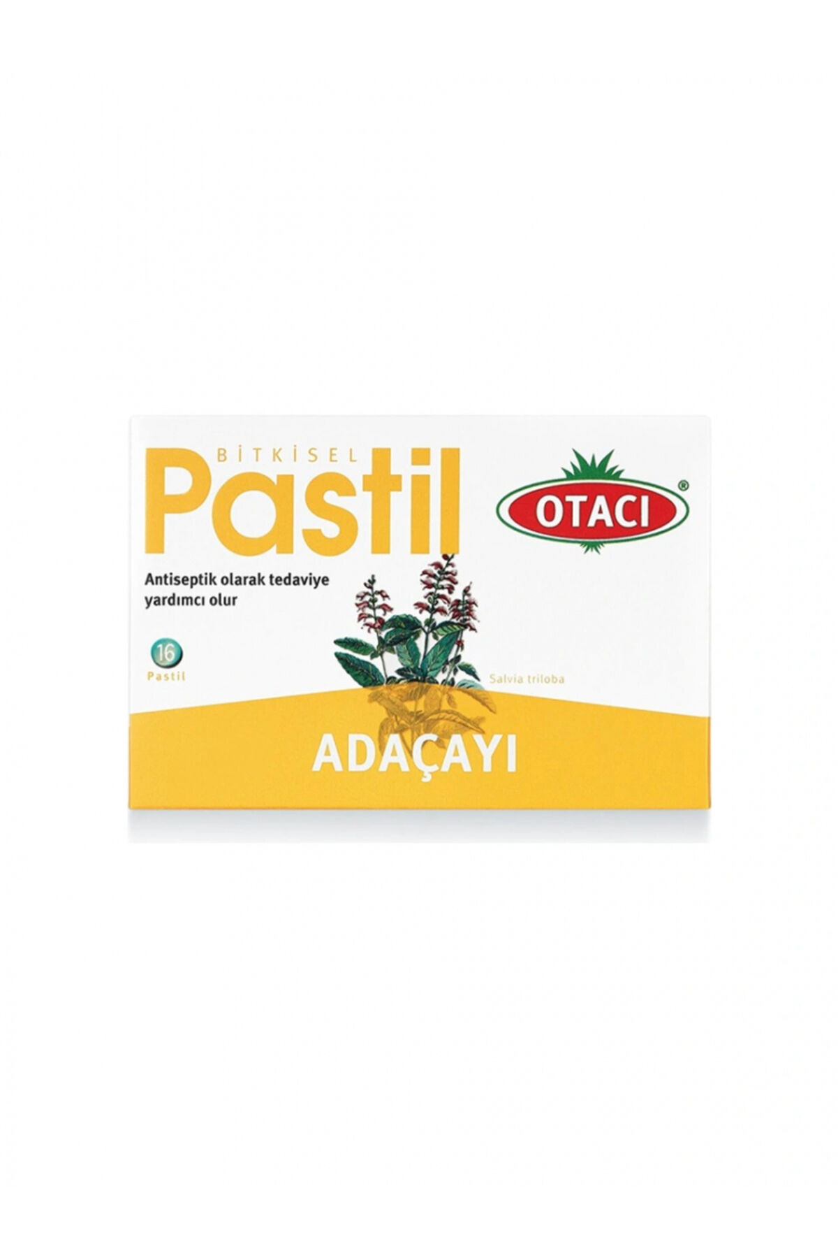 OTACI PASTIL ADACAYI 16 ADET