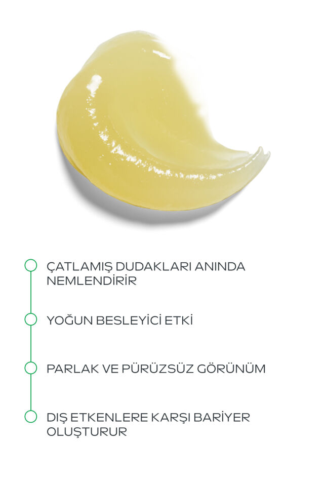 Skin Food Organik Besleyici Dudak Balmı 8ml
