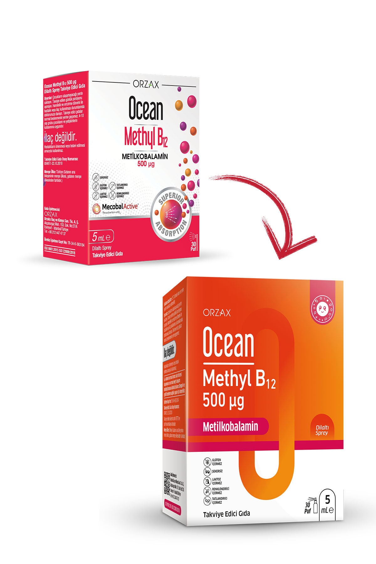Methyl B12 Dilaltı Sprey - Vitamin B12 Takviye Edici Gıda - 500 µg (Metilkobalamin) - 5 ml