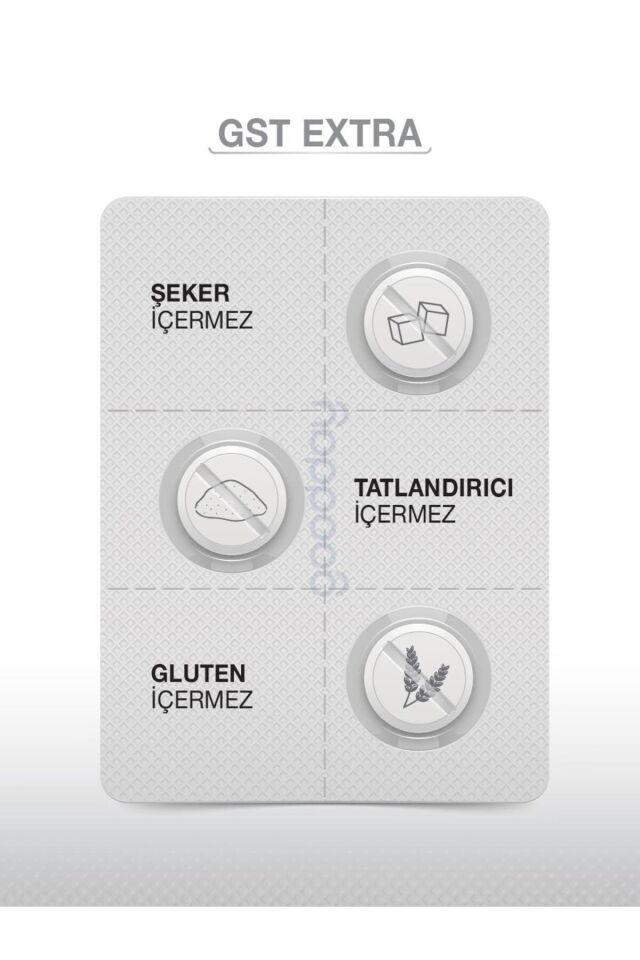 GST EXTRA 30 SAŞE